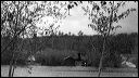 1956_creek_cottage_view