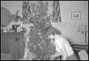 1957_christmas_02