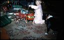 1960_christmas_04