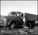 1960_harvesting_3