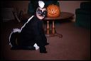 1963_halloween_03