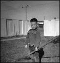 1964_brad_01