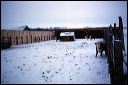 1964_pops_farm