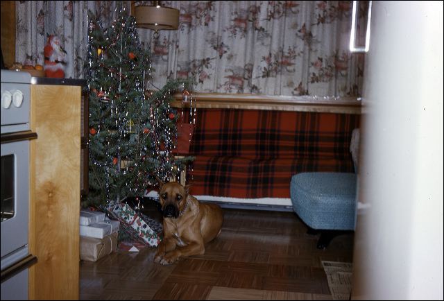 1959_christmas_01.jpg