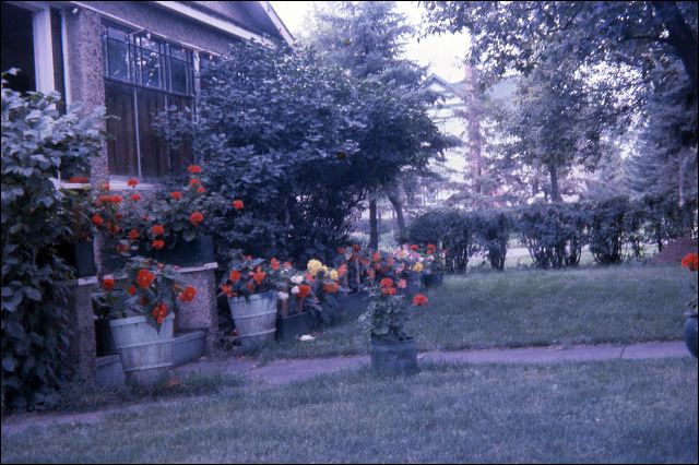 1959_wilkie_house_02.jpg