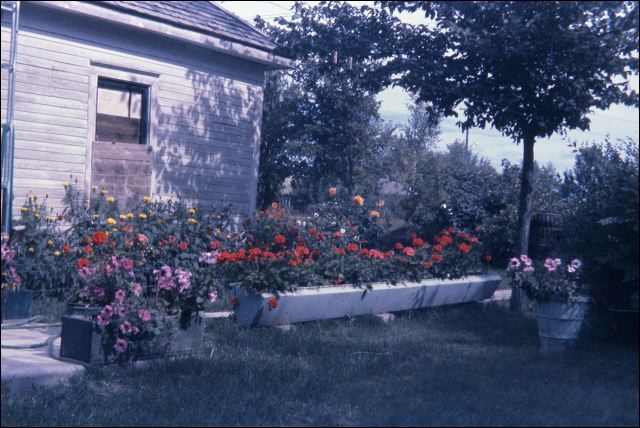 1959_wilkie_house_04.jpg