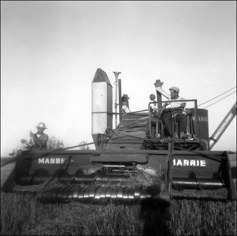 1960_harvesting_1.jpg