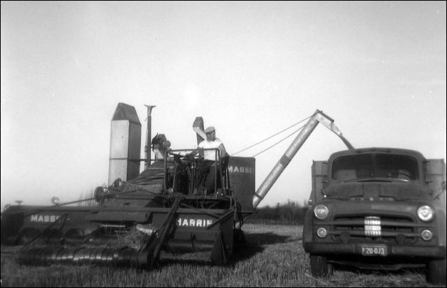 1960_harvesting_2.jpg