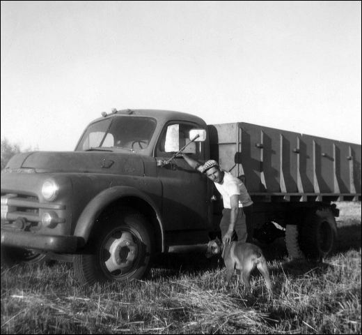 1960_harvesting_3.jpg