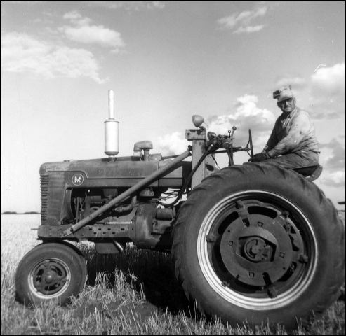 1960_harvesting_5.jpg