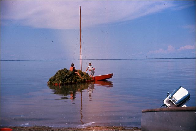 1964_lake_01.jpg