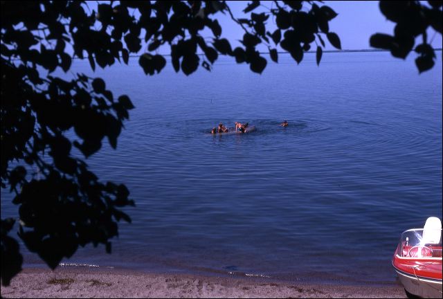 1969_lake_02.jpg
