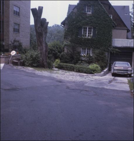 1971_heath_st._toron_1a7f1c.jpg