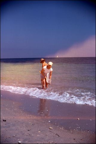 1978_florida_05.jpg