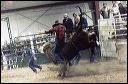 1982_brad_rodeo