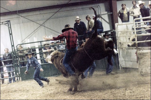 1982_brad_rodeo.jpg
