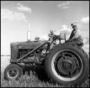 1960_harvesting_5